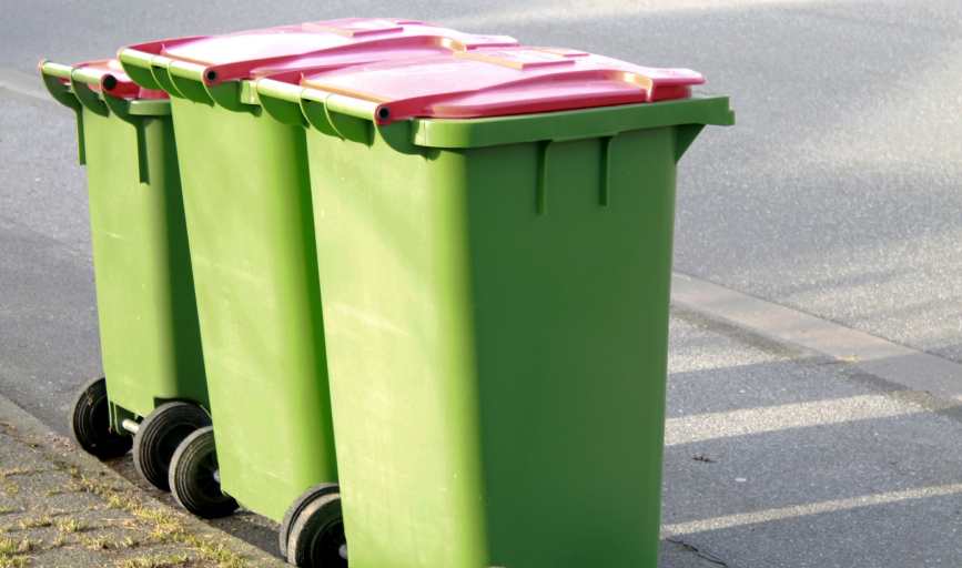 TRASH BIN CLEANING